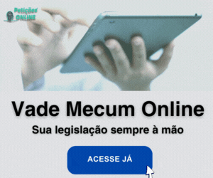 Vade Mecum Online de Direito Berendes