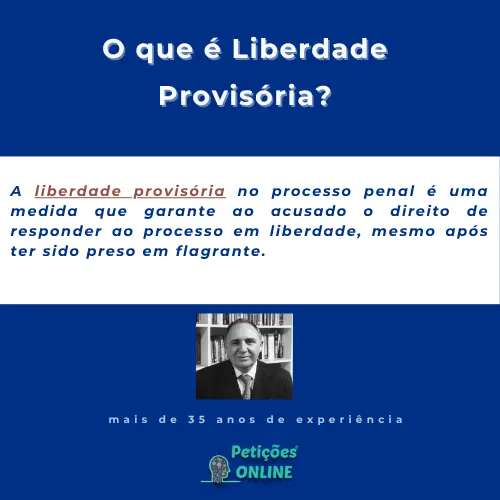 Petições Online® | O que é liberdade provisória ?