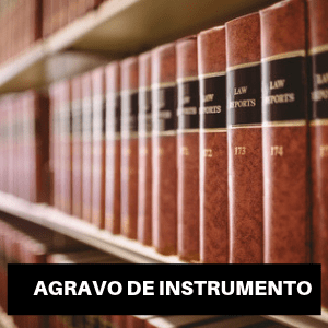 Modelo de Agravo de Instrumento Cível c/c pedido de efeito suspensivo Direito de Família