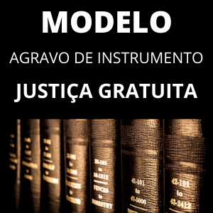 01 - Agravo - de - Instrumento - Ajg, PDF, Advogado