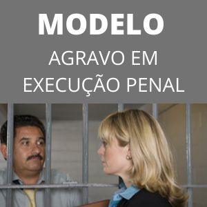 Modelo de agravo em execução penal