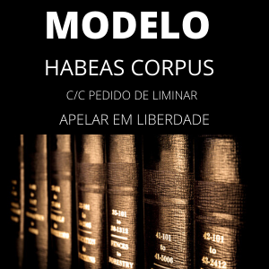 Modelo de habeas corpus c/c pedido de liminar apelar em liberdade tráfico
