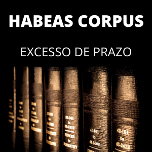 Modelo de habeas corpus por excesso de prazo formação da culpa