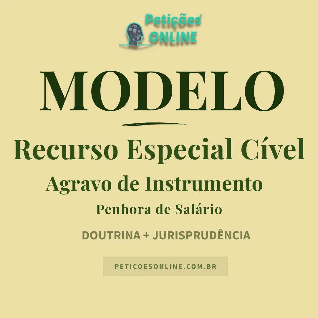 Modelo de Recurso Especial em Agravo de Instrumento Penhora de Salário