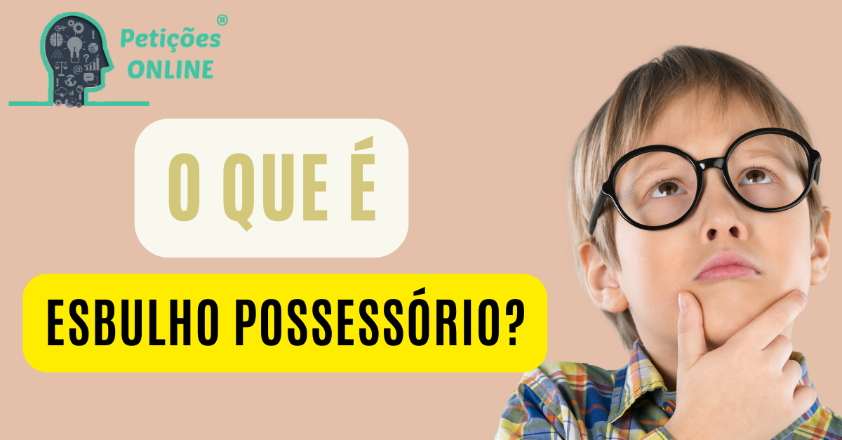 O que é esbulho possessório ?