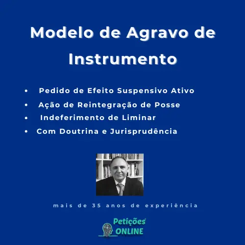 Autor Peti&ccedil;&otilde;es Online - Agravo Reintegra&ccedil;&atilde;o Posse