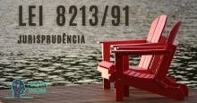 L 8213 1991 jurisprudência