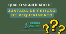 Significado Juntada Petição De Requerimento 